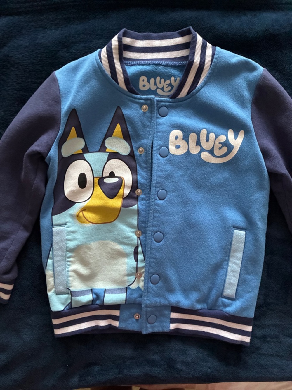 Bluey Kids' Jacket with Character Graphic - Light & Navy Blue